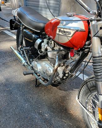  triumph TR6/C 650 del 1970