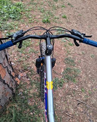 bicicletta Bottecchia 