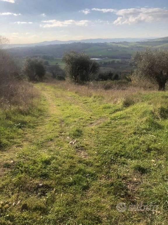 Immobile in asta di 15242 m² a Gradara - Vista 3