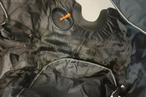 Termoscud R177X Honda SH300 2015