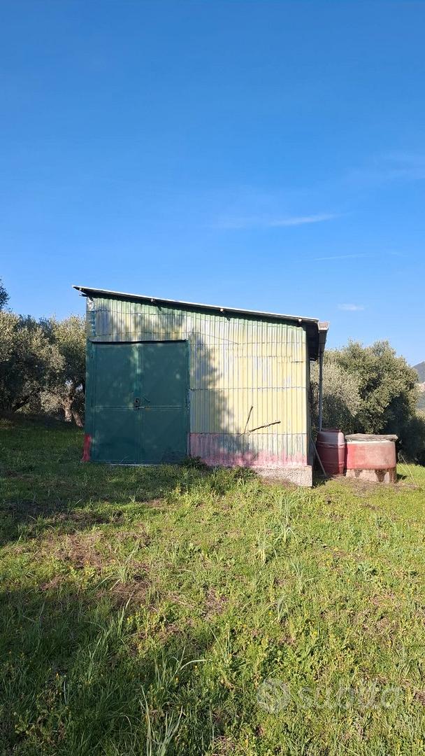 Terreno con uliveto Palombara Sabina - Altro
