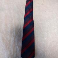 CRAVATTA PIERRE CARDIN IN SETA