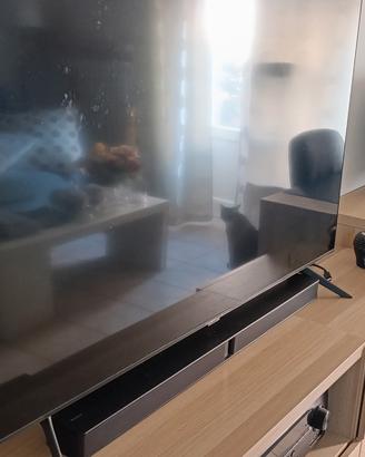 TV SAMSUNG 55 POLLICI LED 
