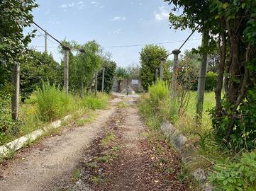 VILLA SINGOLA A SAN CESAREO