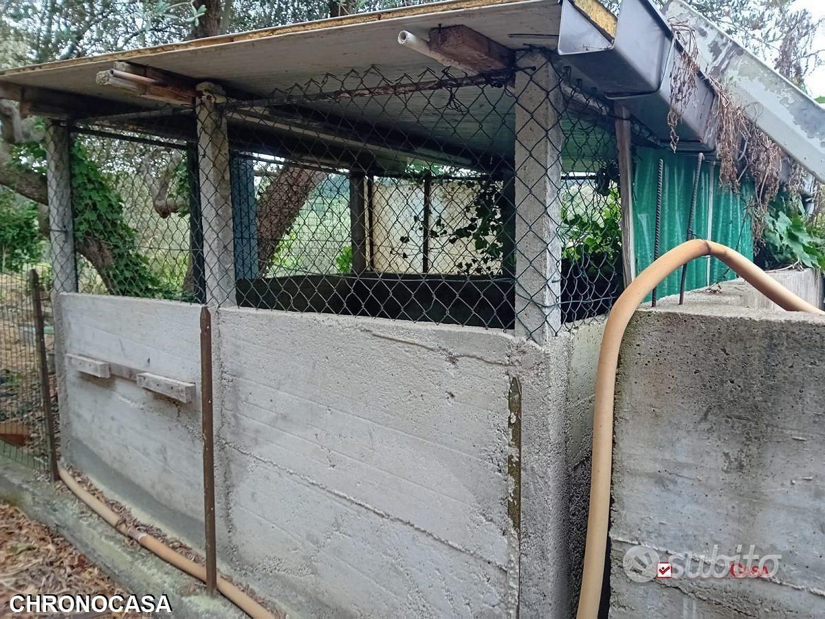 Terreno zona Castanea con deposito - Altro