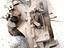 Immagine 4