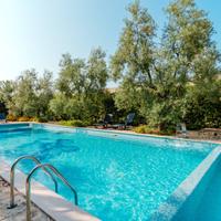 Masseria - Bisceglie