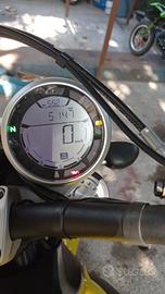 Ducati scrambler cc 800
