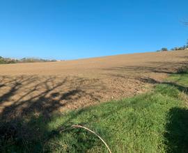 Terreno agricolo in zona passo varano Ancona
