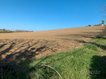 Terreno agricolo in zona passo varano Ancona