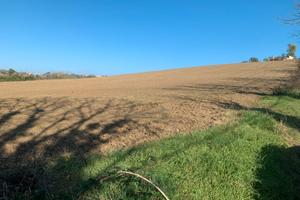 Terreno agricolo in zona passo varano Ancona