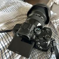 Sony alpha 7 iii + sigma 2.8 24-70