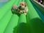 Immagine 4
