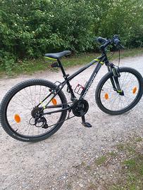 bicicletta bambino 