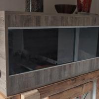 Teca per rettili