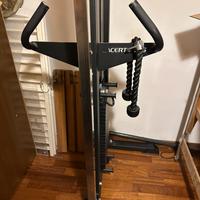 Ercolina  lacertosus e kit braccio di ferro