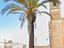 Immagine 11