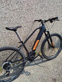 ebike elettrica pedalata assistita