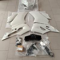 Carene Pista Grezze Panigale 1299 959 originali DU