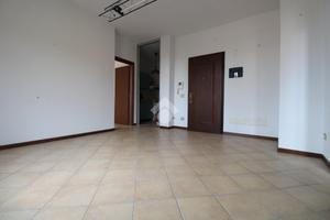 3 LOCALI A SAN GIOVANNI IN PERSICETO