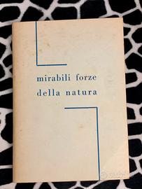 Lucia Platano: Mirabili forze della natura - Raro