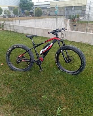 bicicletta 