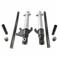 Coppia foderi forcella con molle Aprilia RS 50