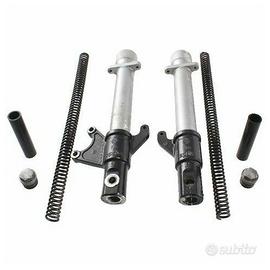 Coppia foderi forcella con molle Aprilia RS 50