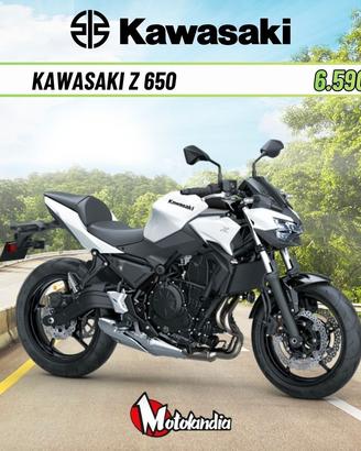 KAWASAKI Z 650