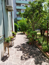 Appartamento libero da agosto