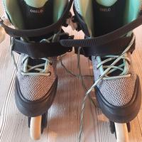 pattini a rotelle in linea