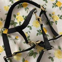 CAPEZZA, FILETTO, TESTIERA E REDINI