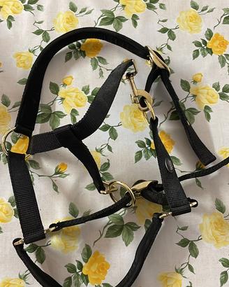 CAPEZZA, FILETTO, TESTIERA E REDINI