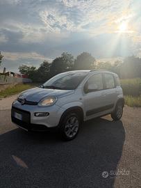 Fiat Punto 1.3 MJT II 75 CV 5 porte Street 4x4