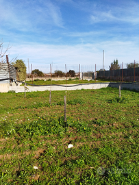 Terreno Agricolo