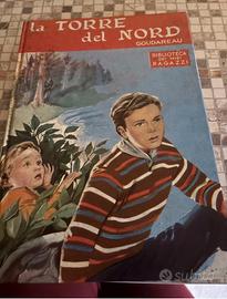 La torre del nord libro