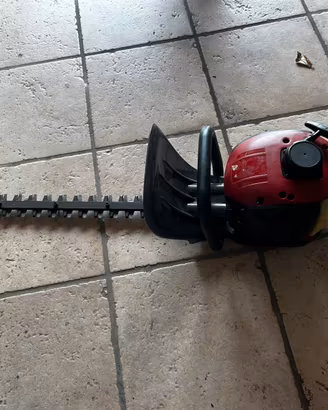 Taglia siepi a scoppio