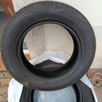 Pneumatici Roadstone eurovis hp02