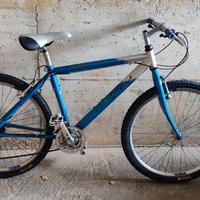 Mountain bike usata 
