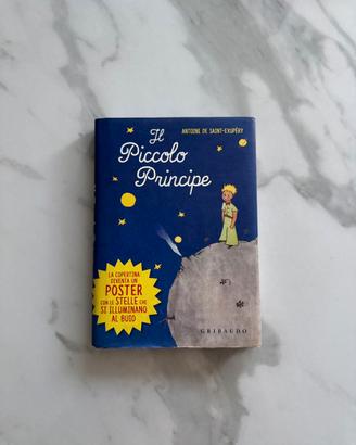 Libro "lI Piccolo Principe"