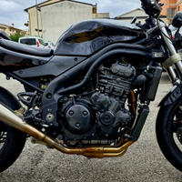 Triumph Speed triple 955i