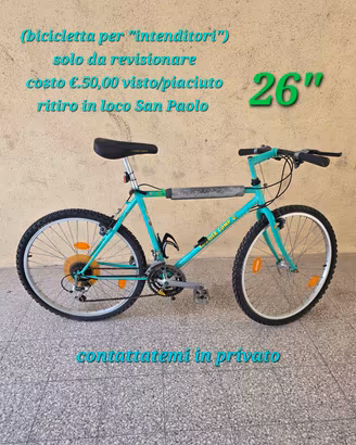 bici usata 