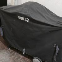 Barbecue Weber