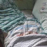 Trapunta  più paracolpi