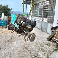 motozappa grillo