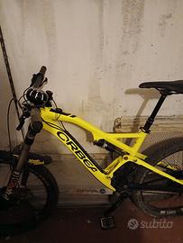 orbea rallon enduro