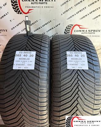 2 PNEUMATICI 265/40 R20 MICHELIN 4 STAGIONI