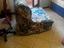 Immagine 2