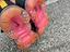 Immagine 5