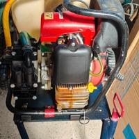 pompa diserbo/verderame